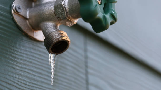 Best Sprinkler Systems  in Everett, MA